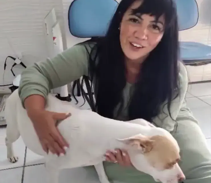 Animal resgatado 1